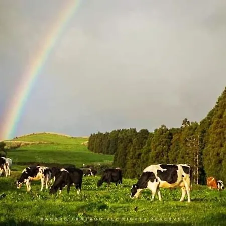 بيت للعطل Casa Amarela De Santana *