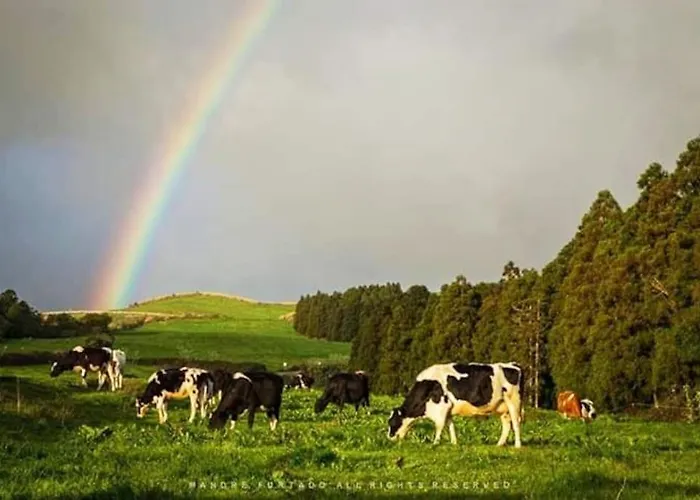 Ferienhaus Casa Amarela De Santana *