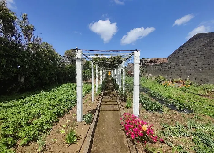 Casa Amarela De Santana Ferienhaus Ribeira Grande